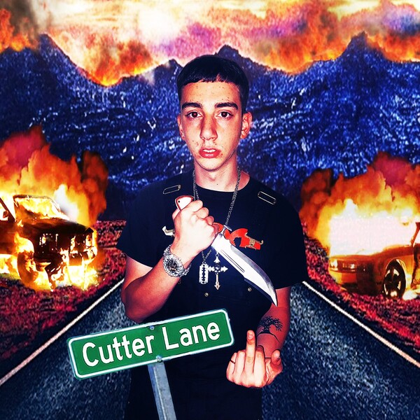 turnabout cutter lane